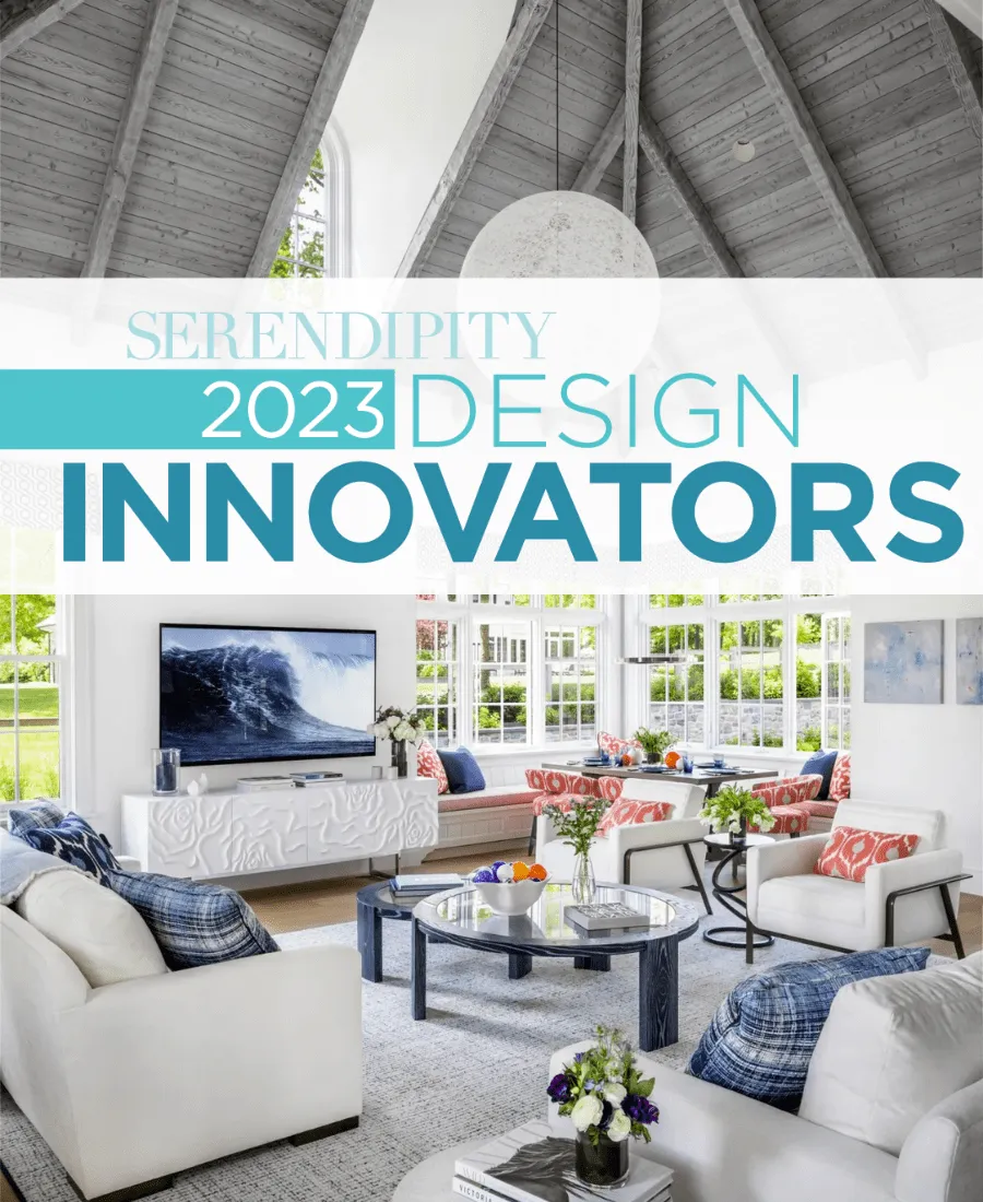 Serendipity Design Innovators 2023